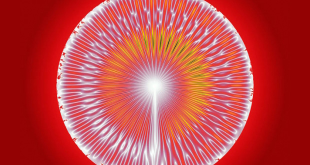 Silence Falls Across the Sea as Blue Whales Disappear from Sound