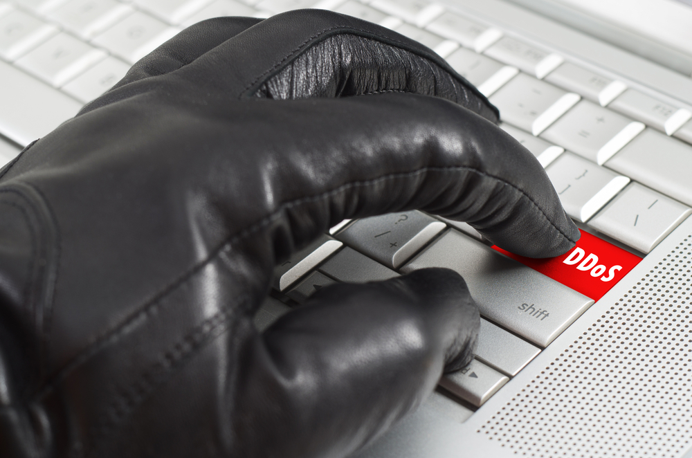 The Consious Reporter has been facing DoS cyber attacks